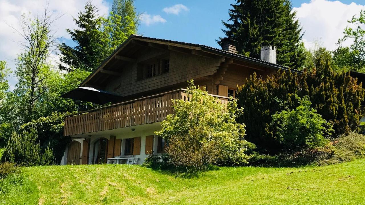 Chalet Les Marmottes Saint-Jean-de-Sixt Exterior photo