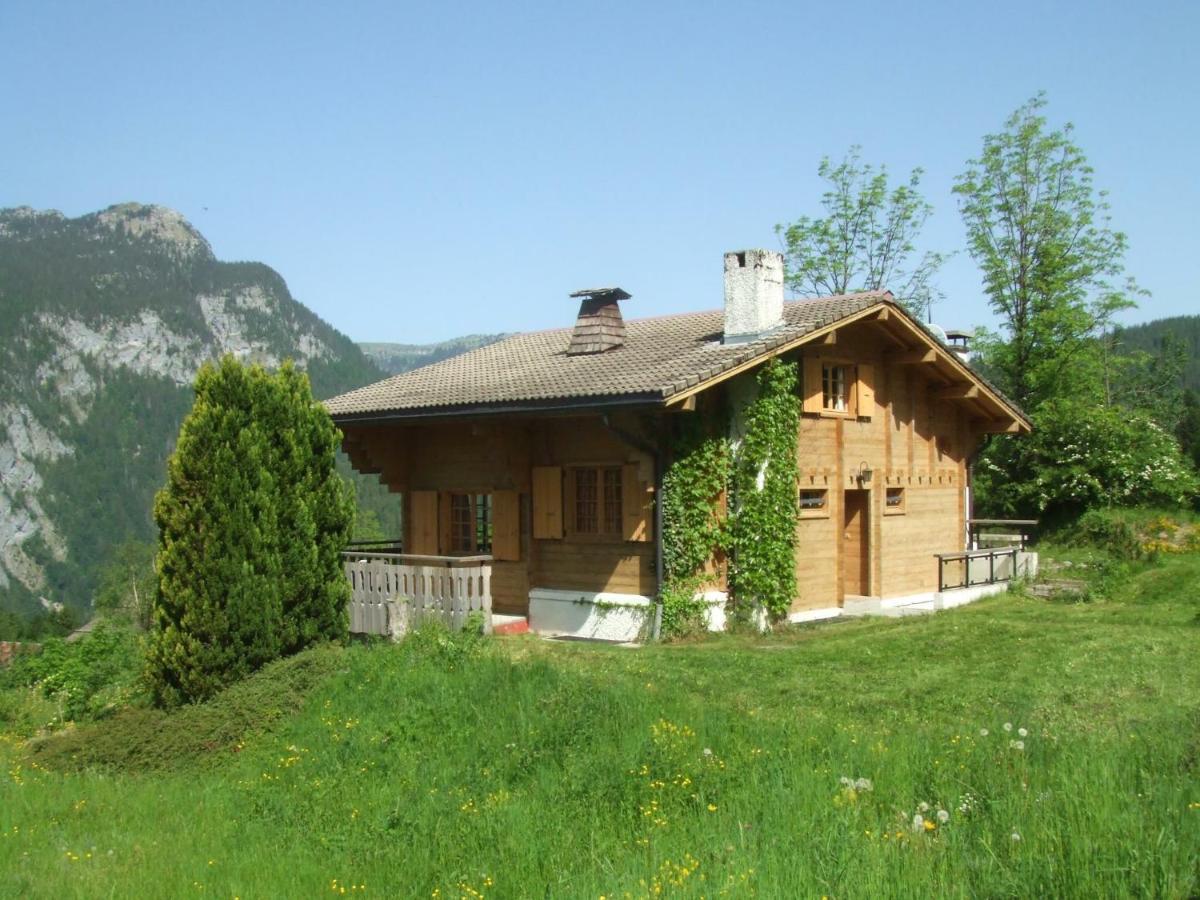 Chalet Les Marmottes Saint-Jean-de-Sixt Exterior photo