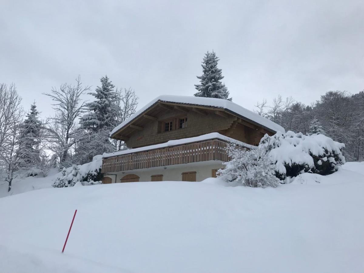Chalet Les Marmottes Saint-Jean-de-Sixt Exterior photo